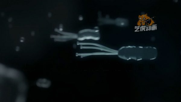 醫學三維動畫制作